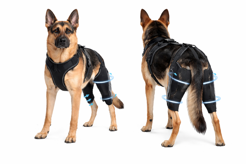 Secure Harness System